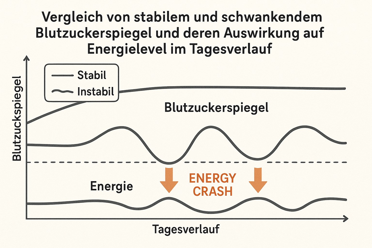 Vergleich von stabilem und schwankendem Blutzuckerspiegel und deren Auswirkung auf Energielevel im Tagesverlauf